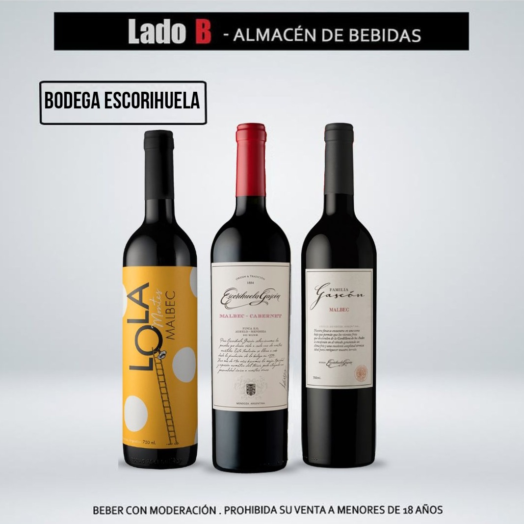Vinos & Bodegas 2