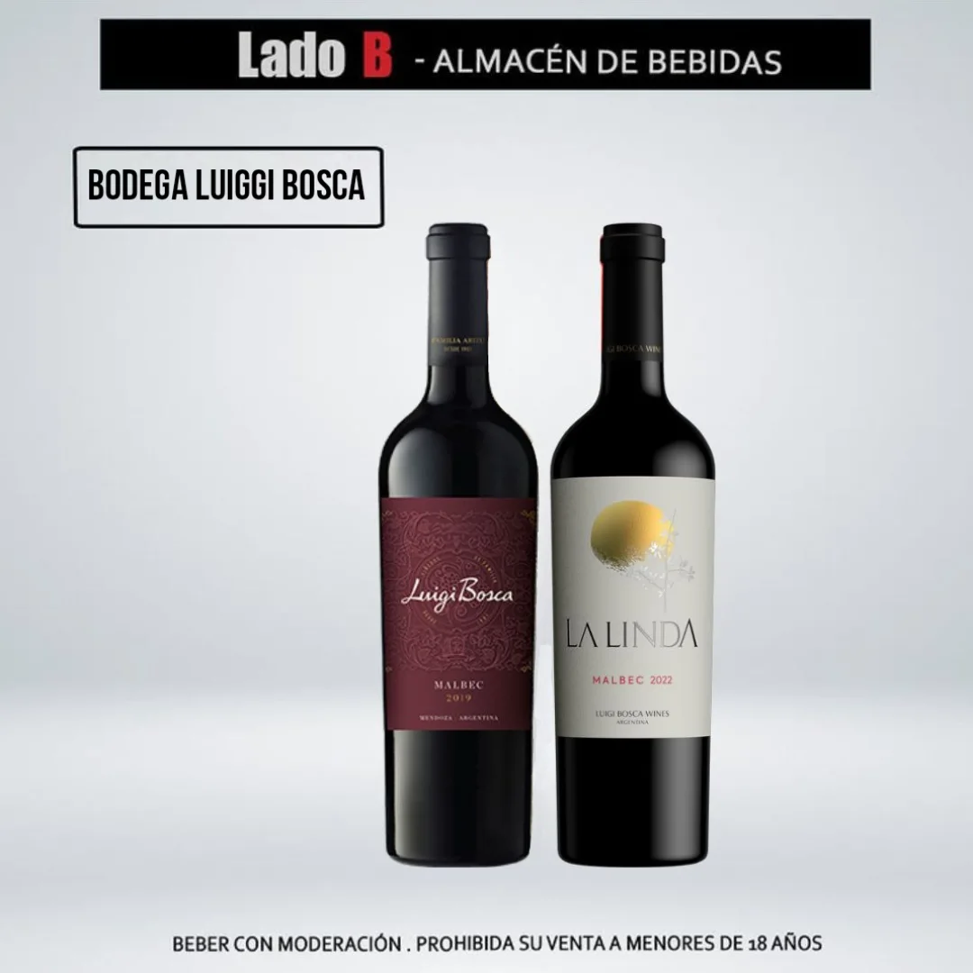 Vinos & Bodegas 3