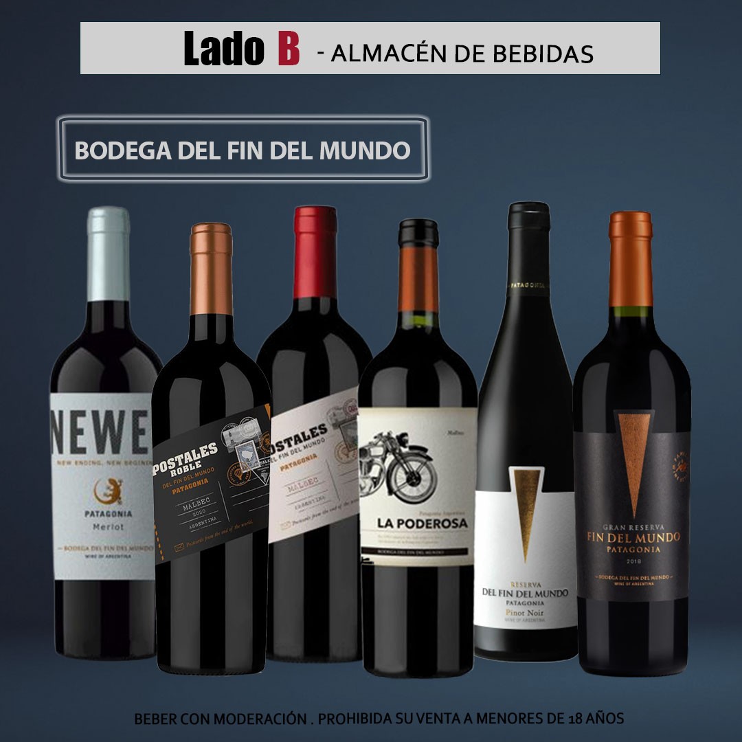 Vinos & Bodegas 5